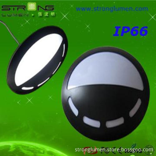 2013 New Design Outdoor IP66 Cool Ceiling Light Fixtures China